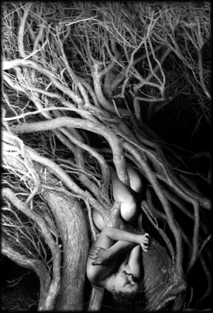 Heidi Branch, Digital composite, 1998