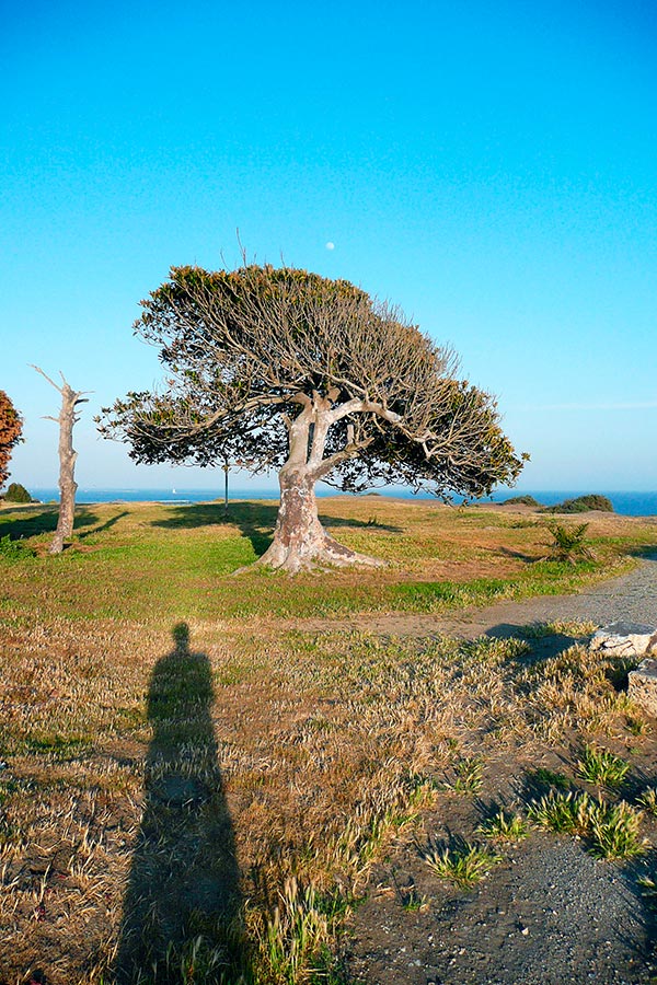 Sunken City Moon 2013